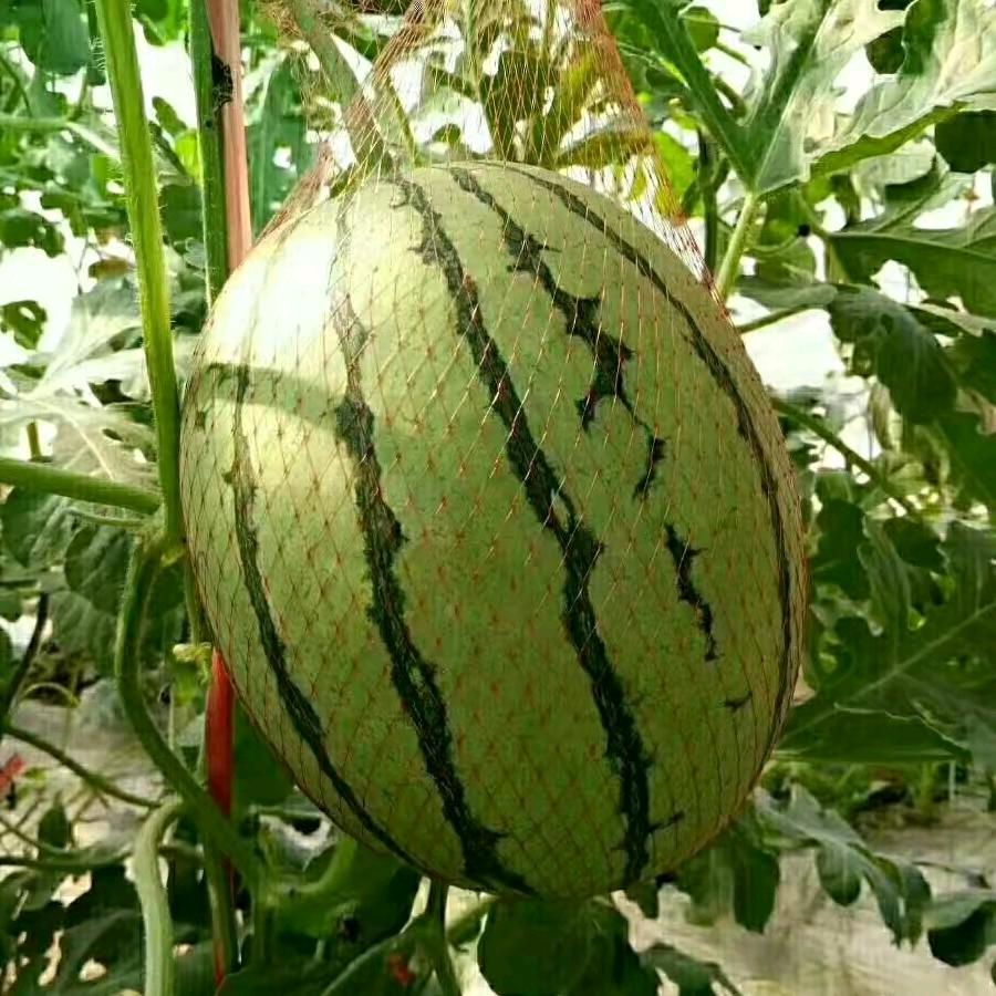 别惹我