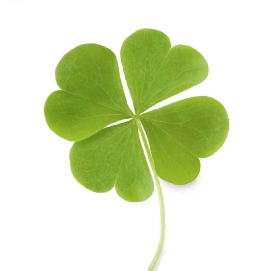 Lucky💯