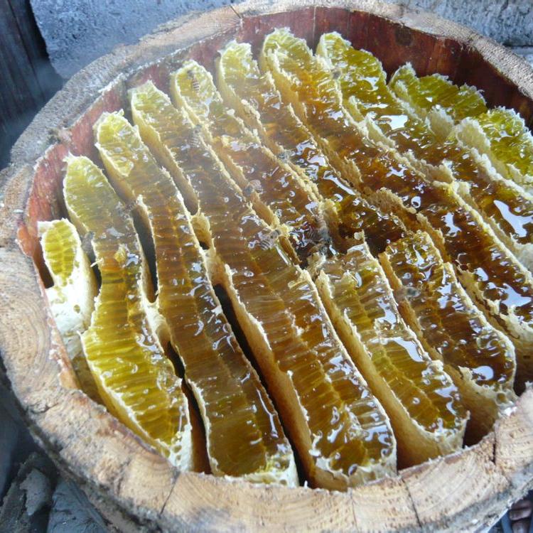 深山老林土蜂蜜