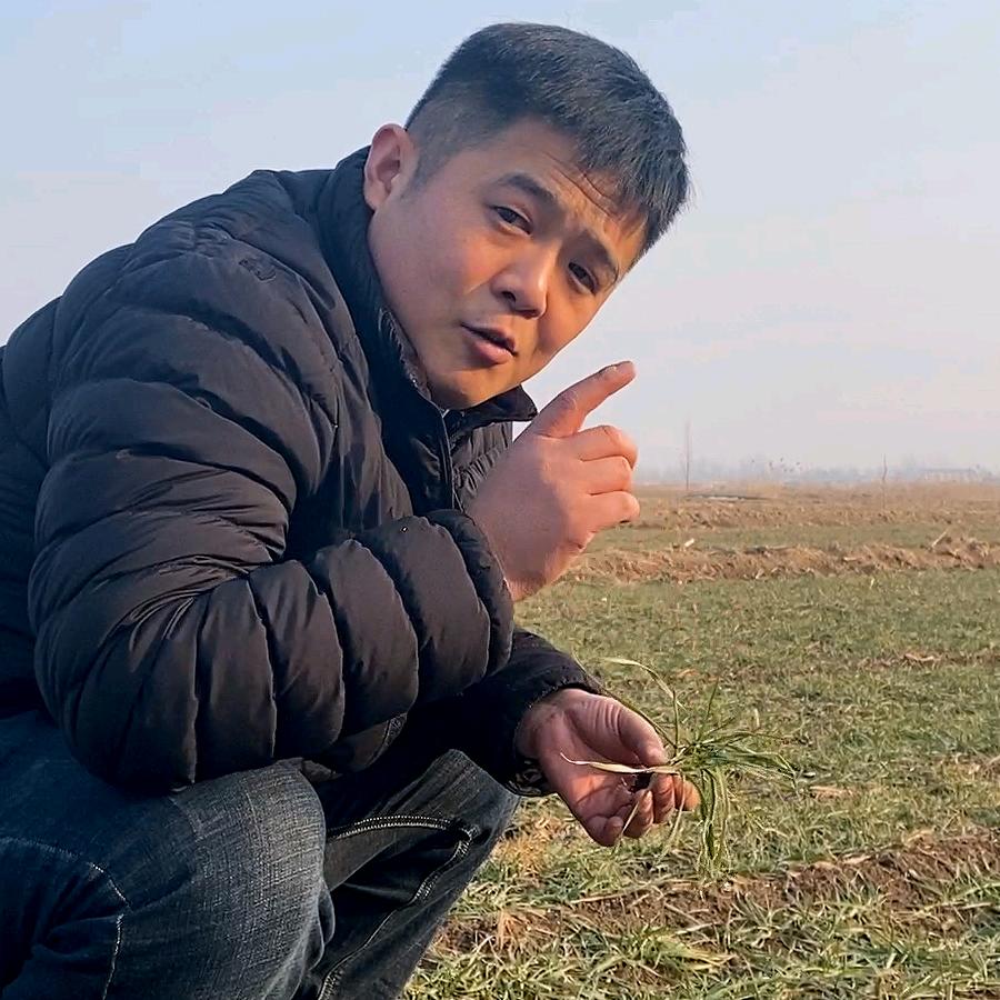 大正丰农老王
