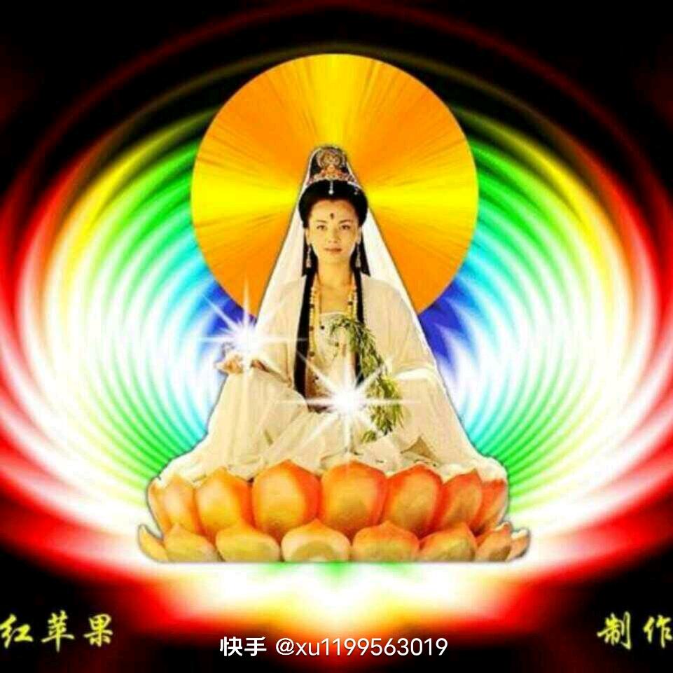 塞北观音(802)