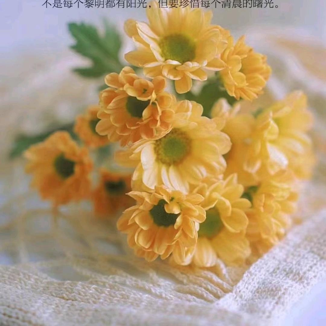 球仔妈咪