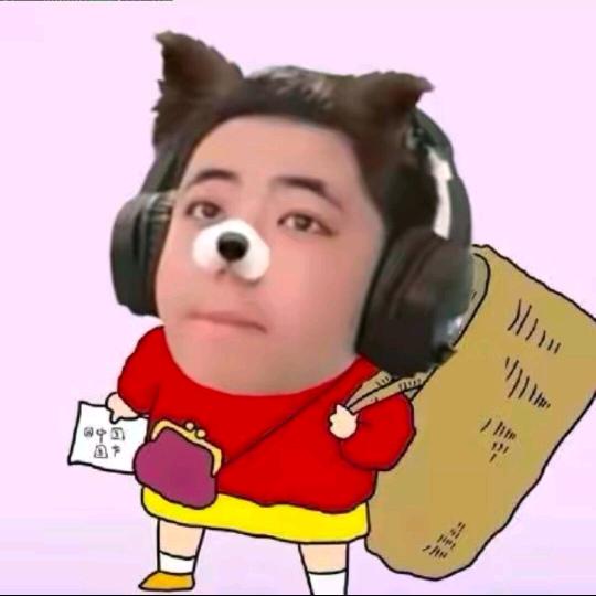 皖北阿冲