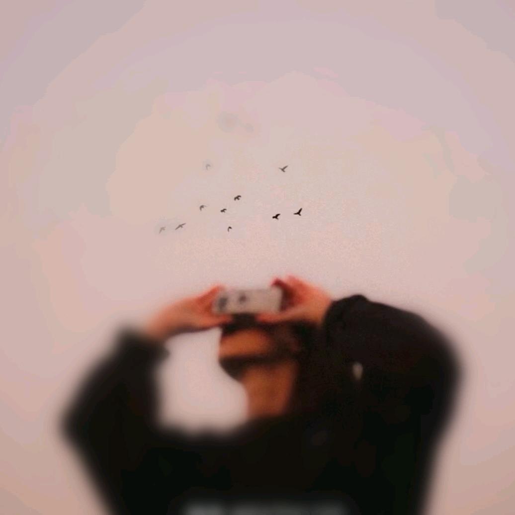 集体
