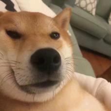 DNF小情话（强化增幅龙袍）