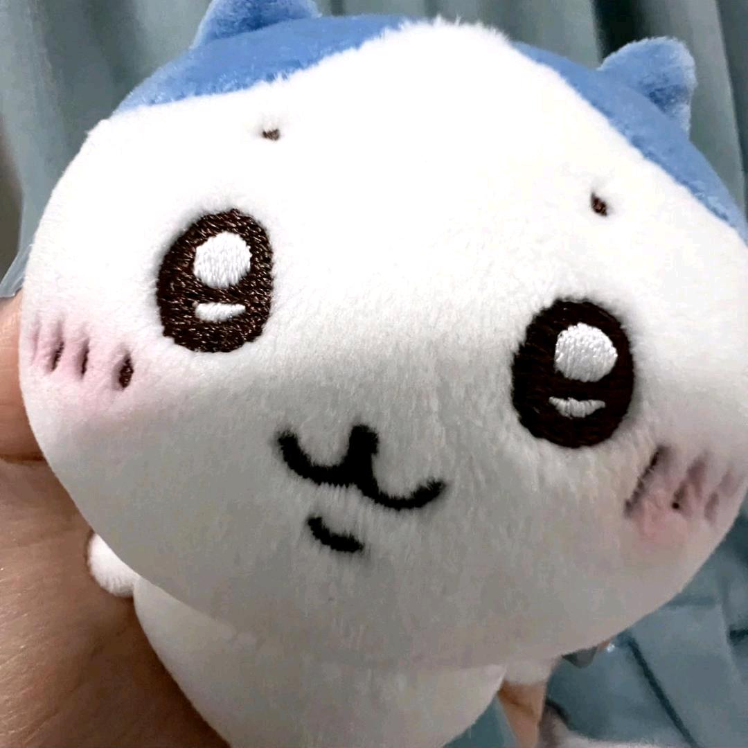 树枝宝宝