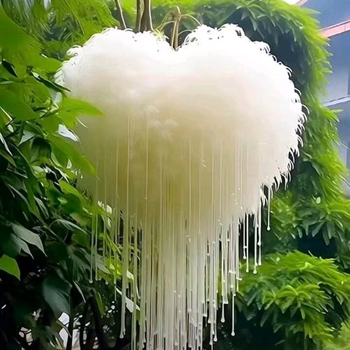 灿烂的阳光，阳光明媚🏆🏆🏆🏆⛳⛳