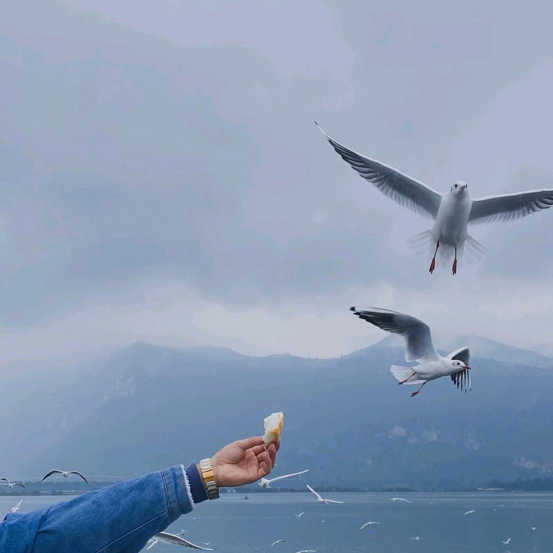 你真的太烂了y
