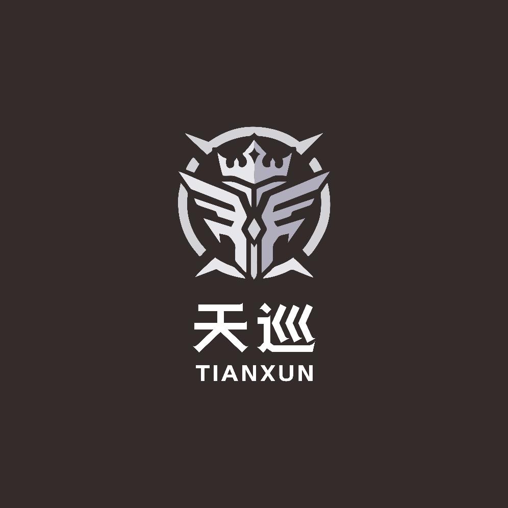 天巡电竞