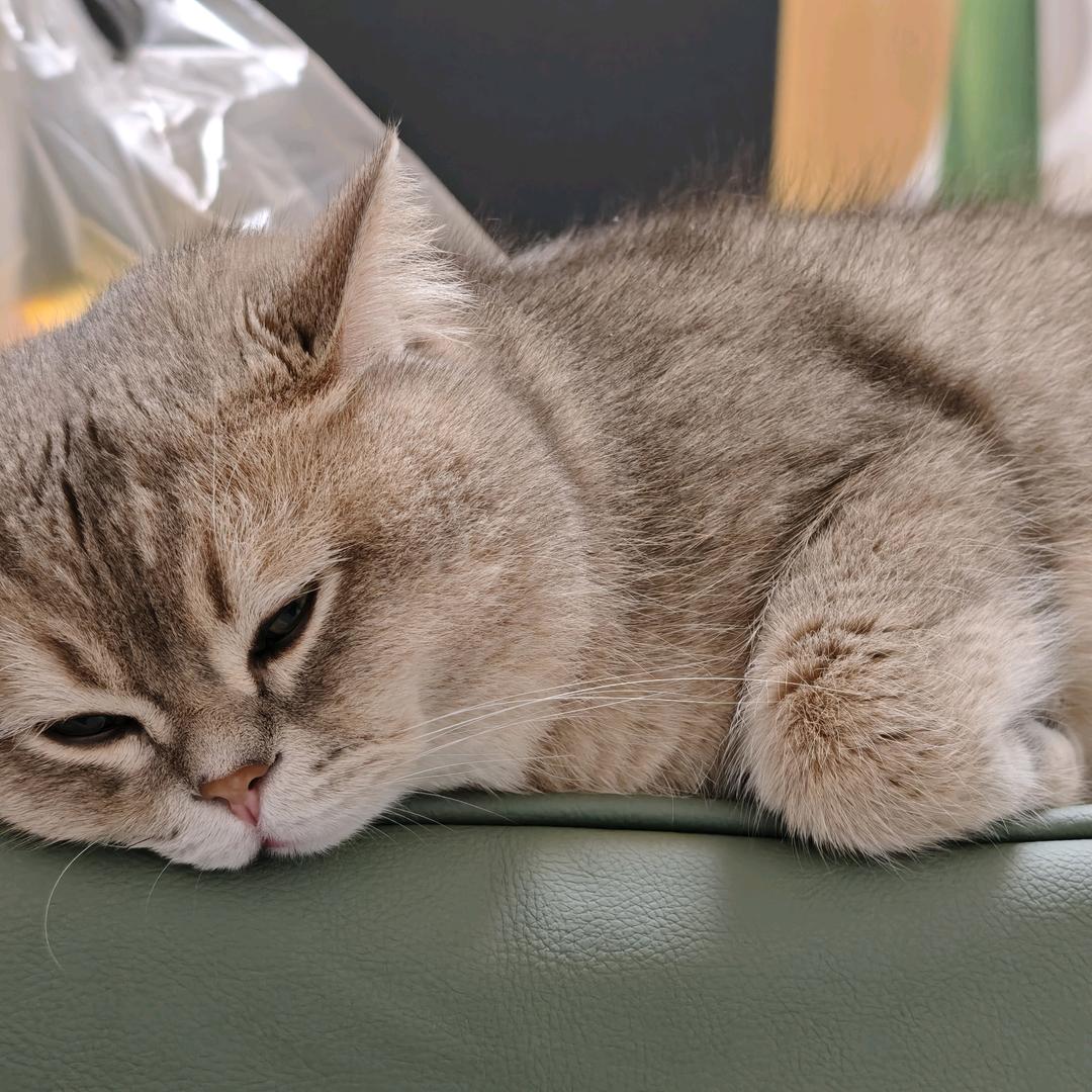 小助理老师