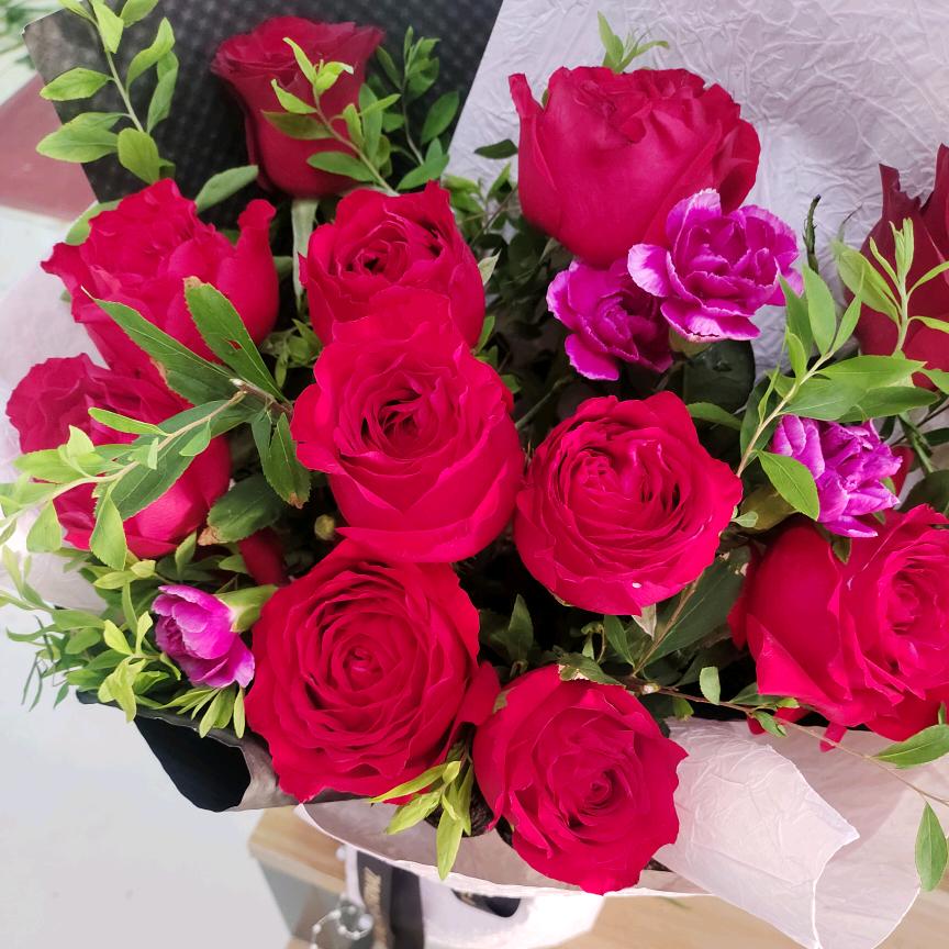 爱它宠物店家有闹闹🐈布丁