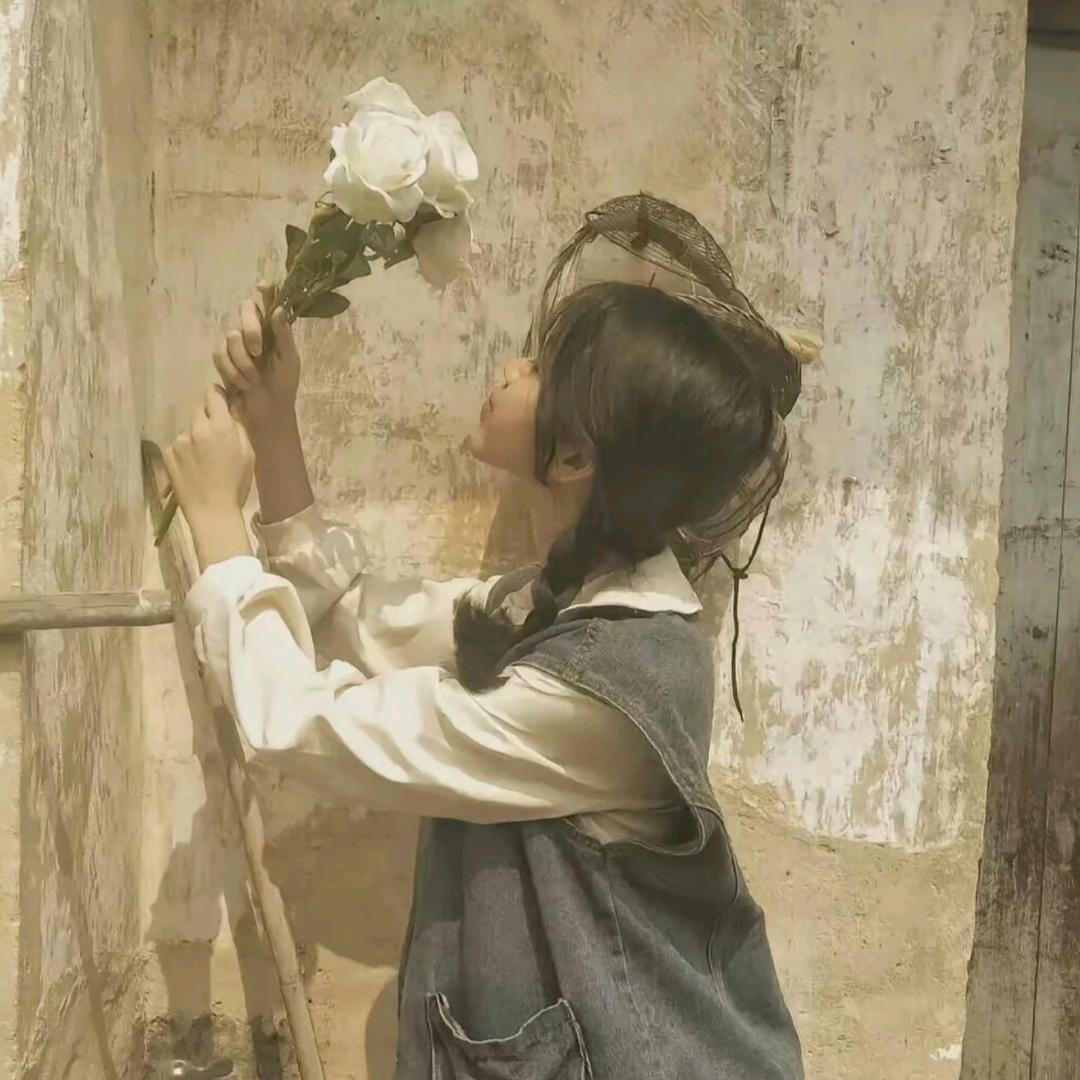 番茄不炒蛋.ʚʕ̯•͡ˑ͓•̯᷅ʔɞ