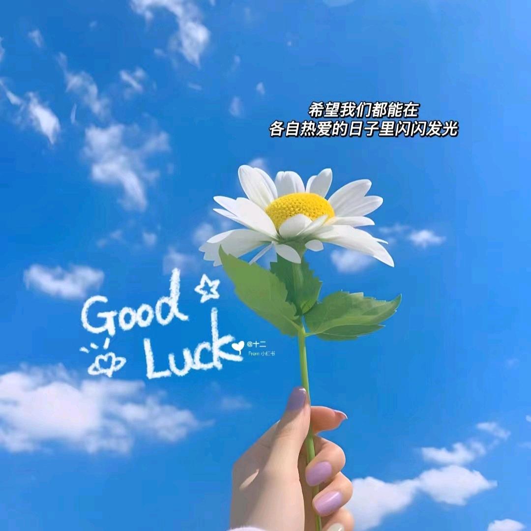 薄荷凉了夏