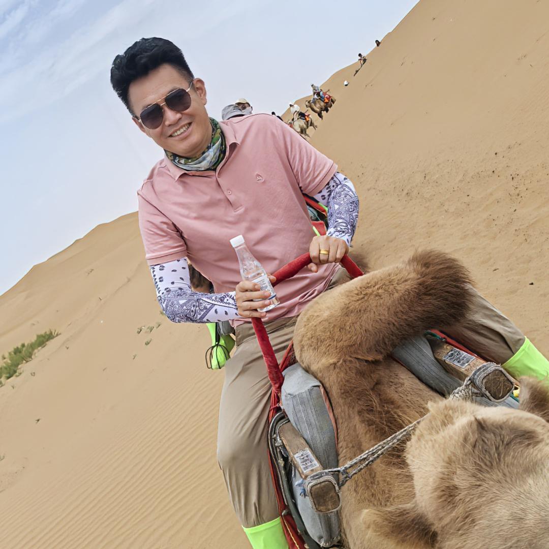 西北小飞狼