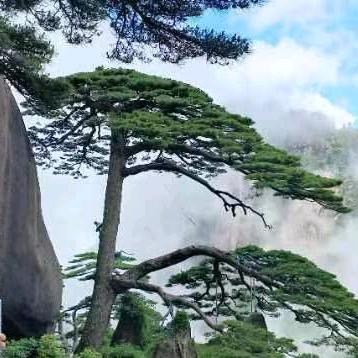 平安幸福