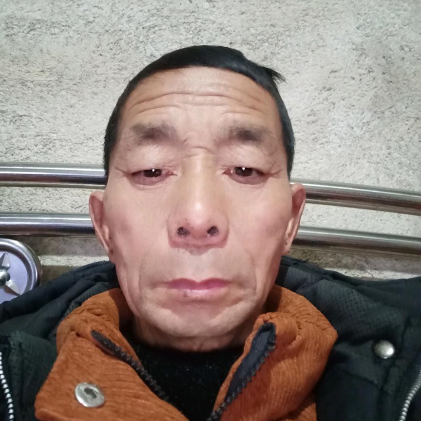 自由自在阳放华