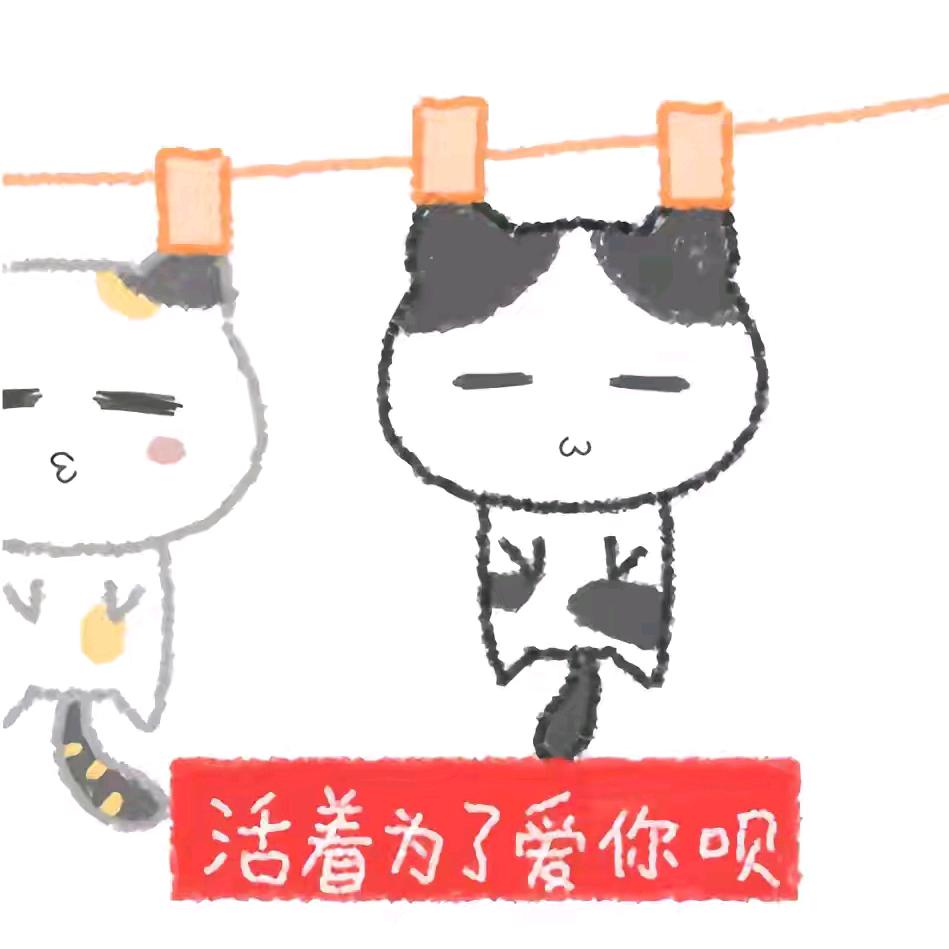 洽喵