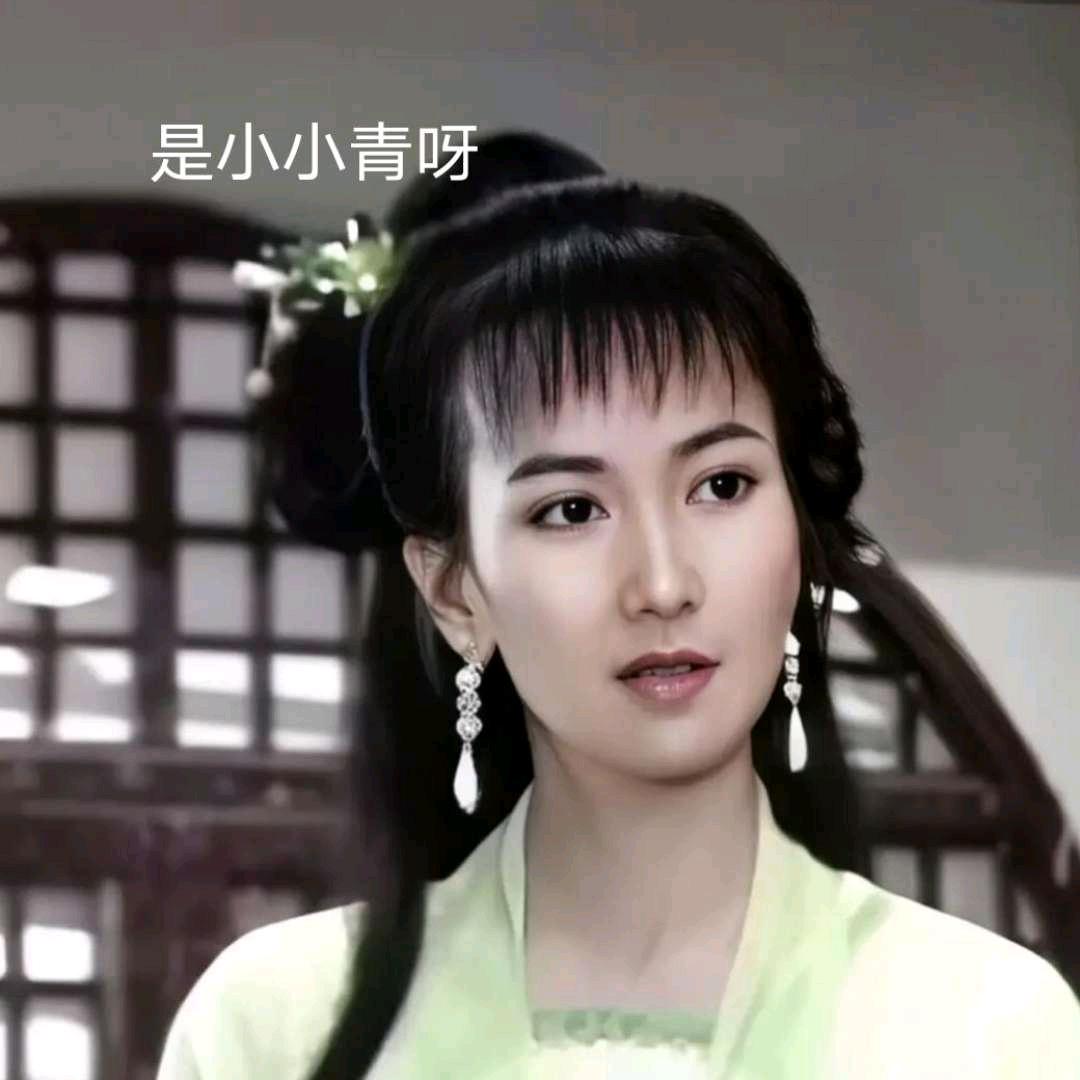 氪金小神兽