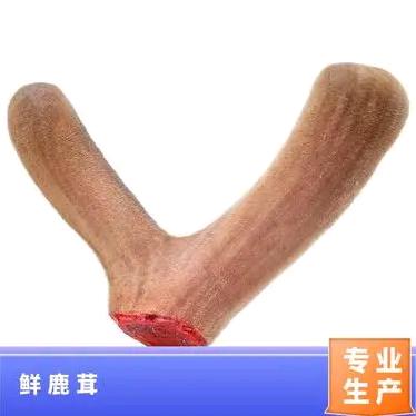 丽君鹿业专营店
