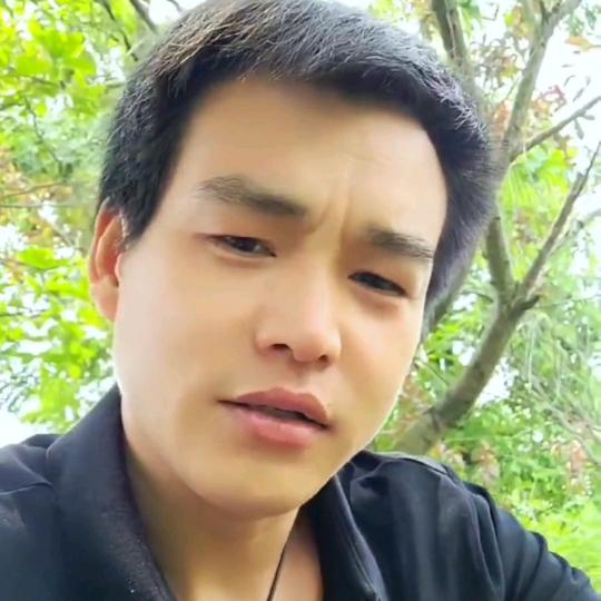 一只周周（每天早上11:17开播）