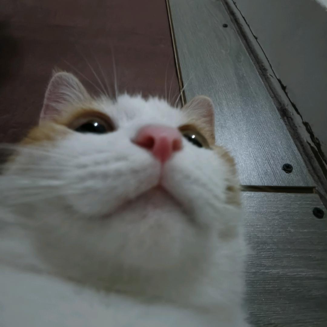 晚安