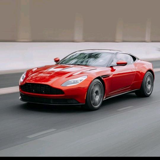 🌲沉👁👁默🌲