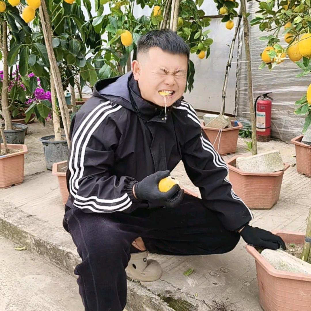 贵阳绿植‘显眼包’～坤坤