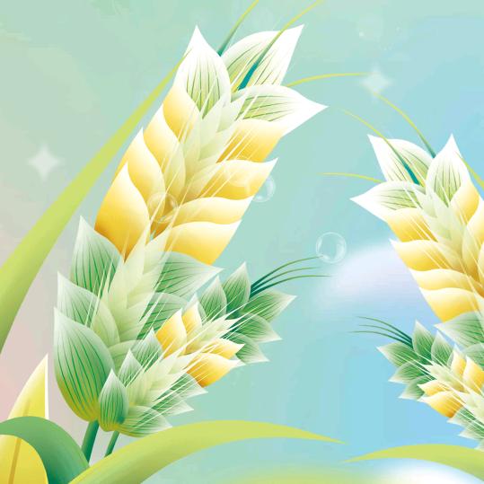 繁星点点