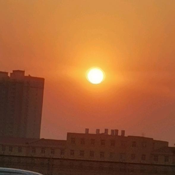 无忧草