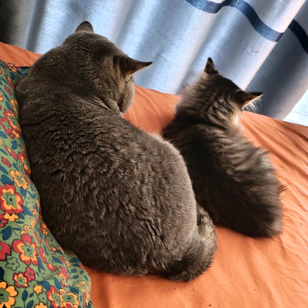 魅力女装优品市集