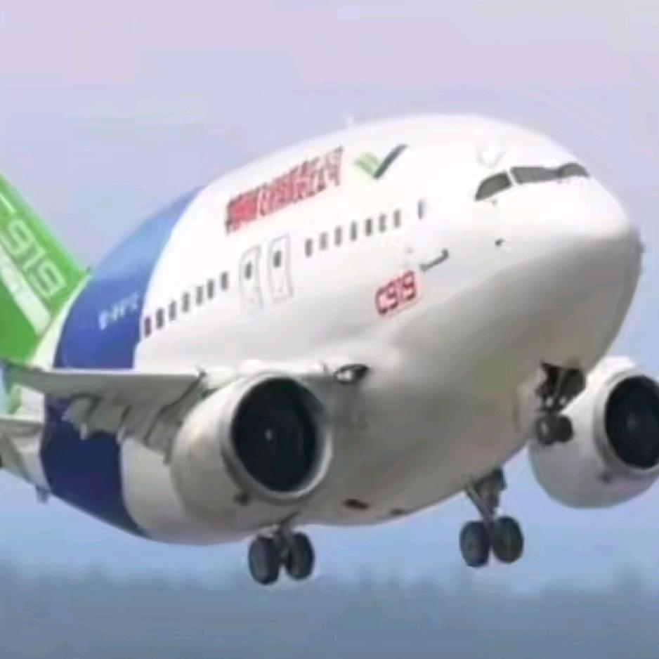 C919🛫✈️🛩🛬Bluey.