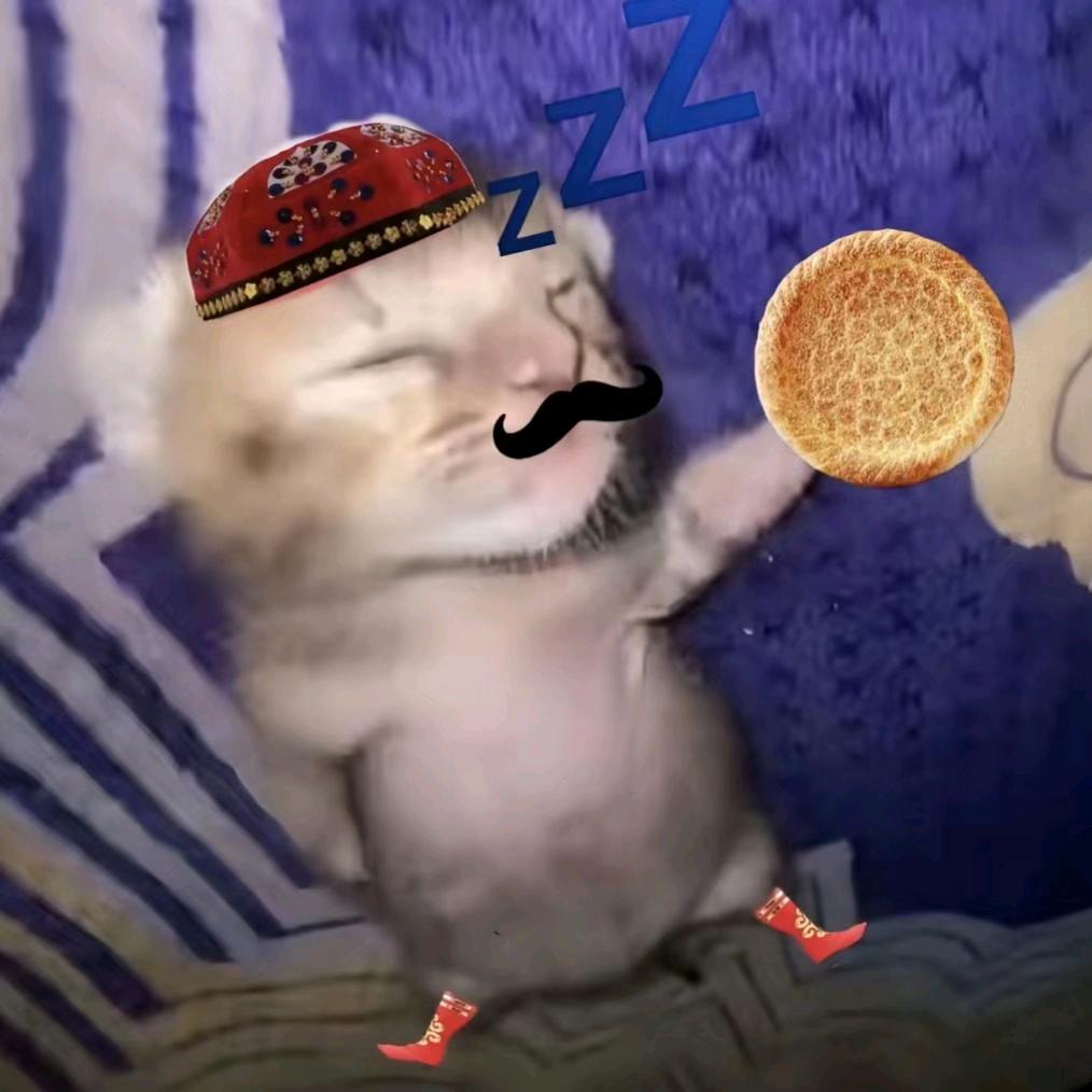 魏不饱