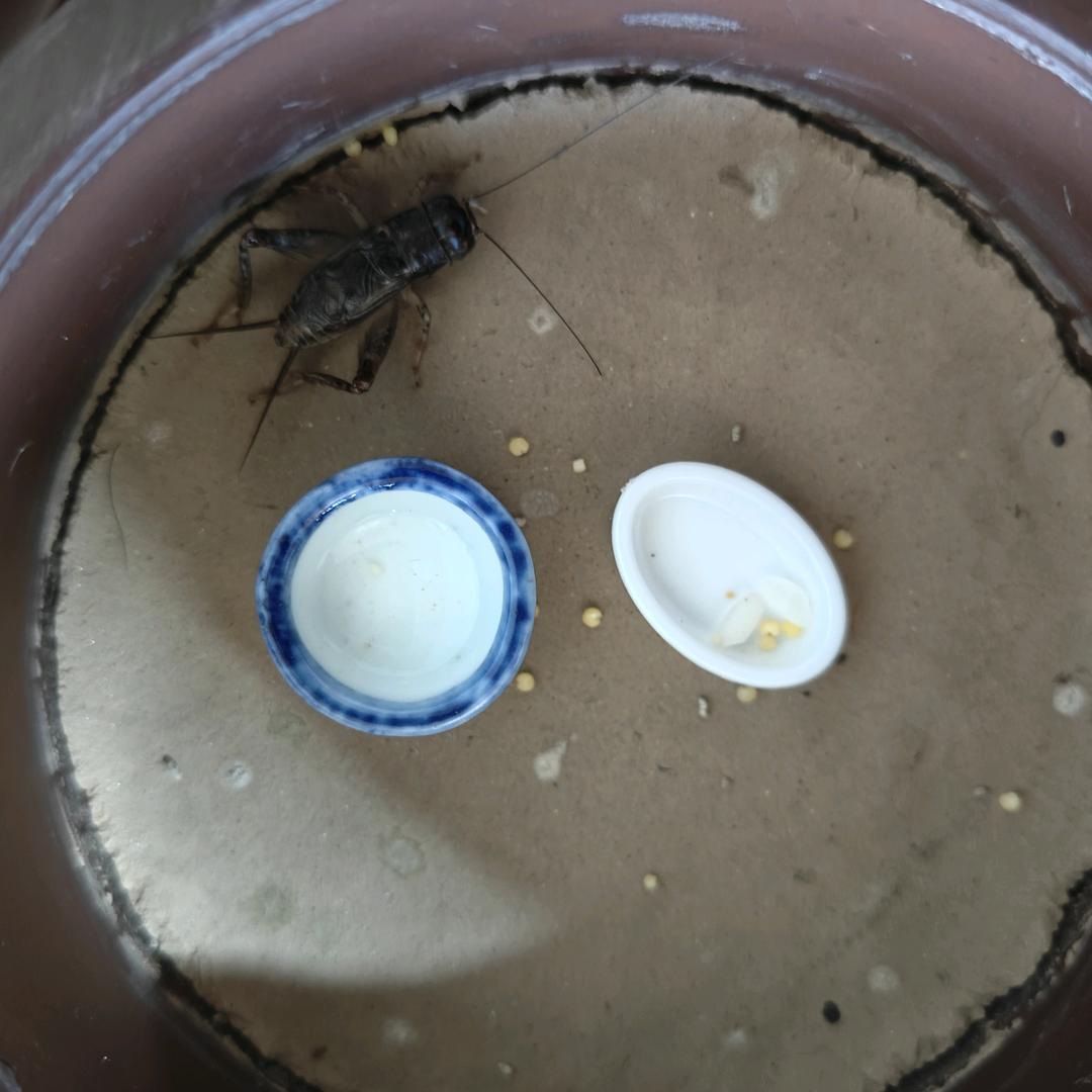 人间烟火