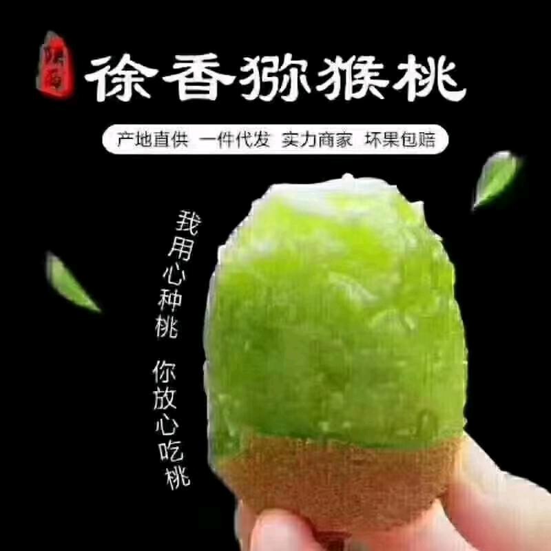 陕西猕猴桃