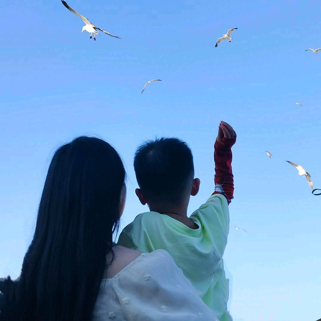 🍓草莓小布丁🍮