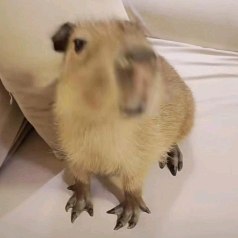 待会一起玩
