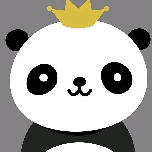 小 柴 柴