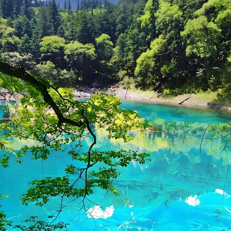 雾里看花，一杯羹