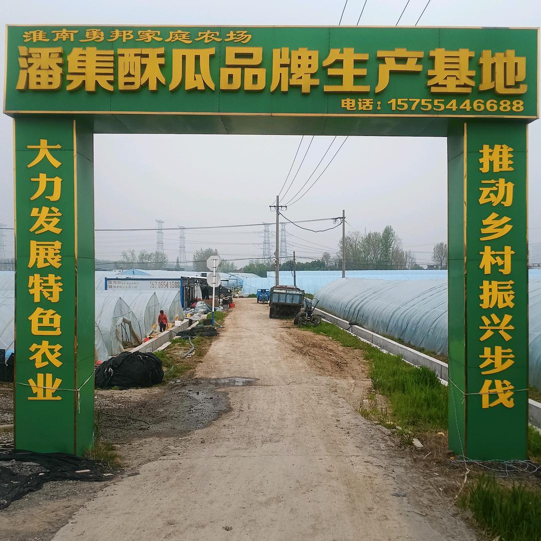 淮南勇邦家庭农场有限公司