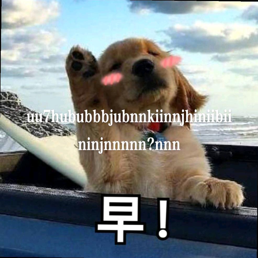 柚柚衣物