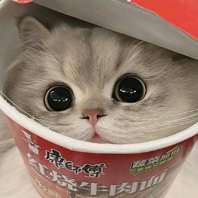 영영10.02