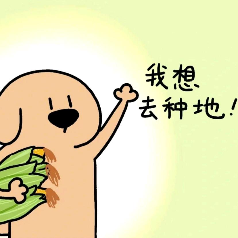 AAA煎饼狗子批发