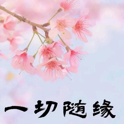 🌈风生水起