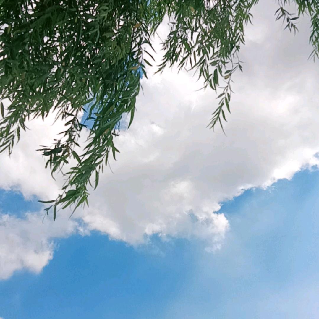 ︶ㄣ青春时光ㄜ︵