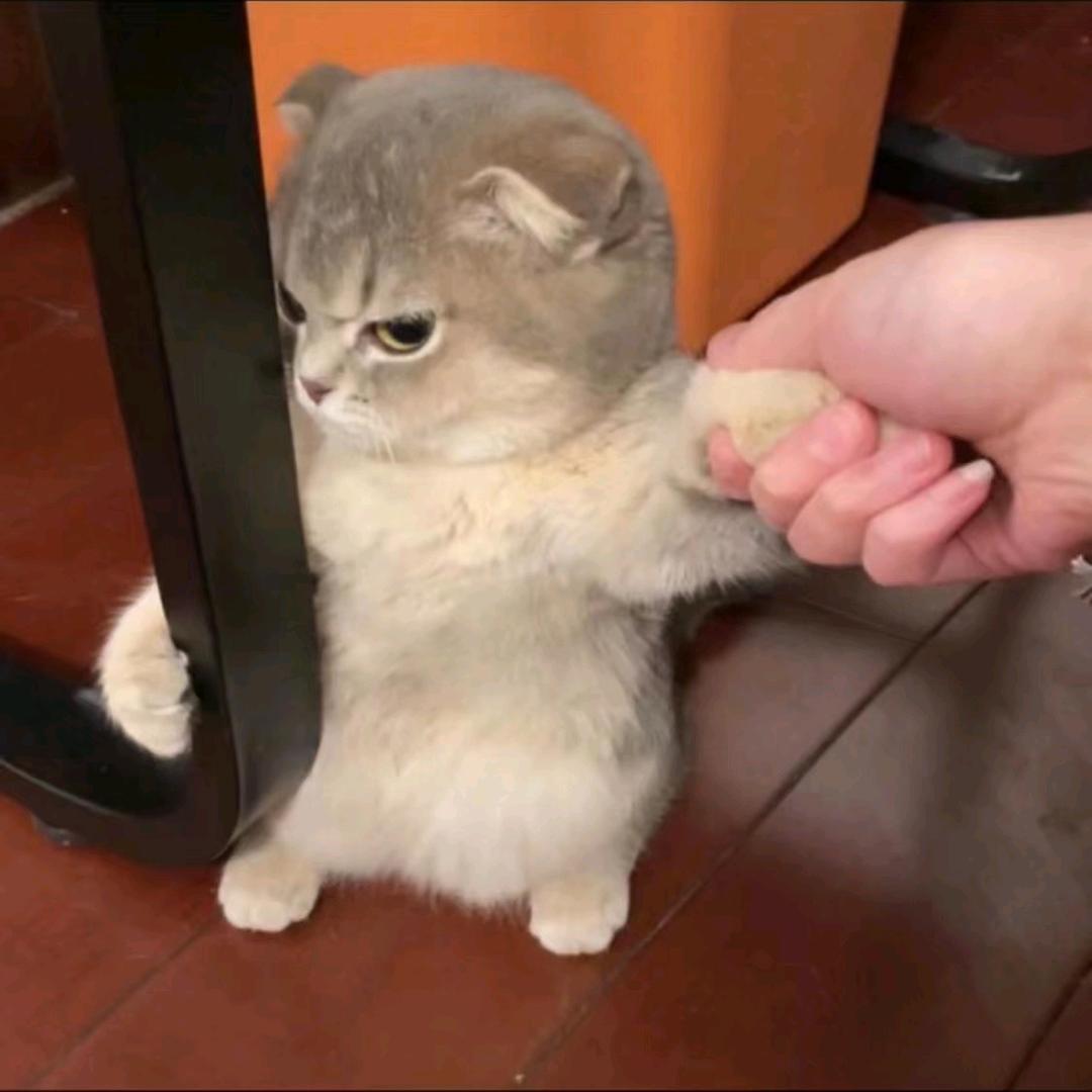 生日礼物