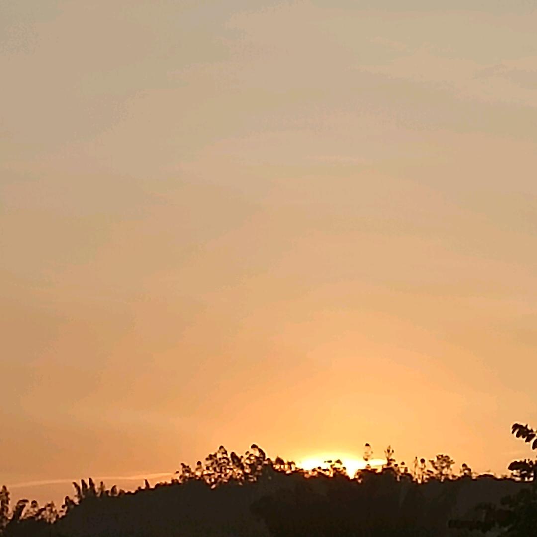 蛟龙龘龘