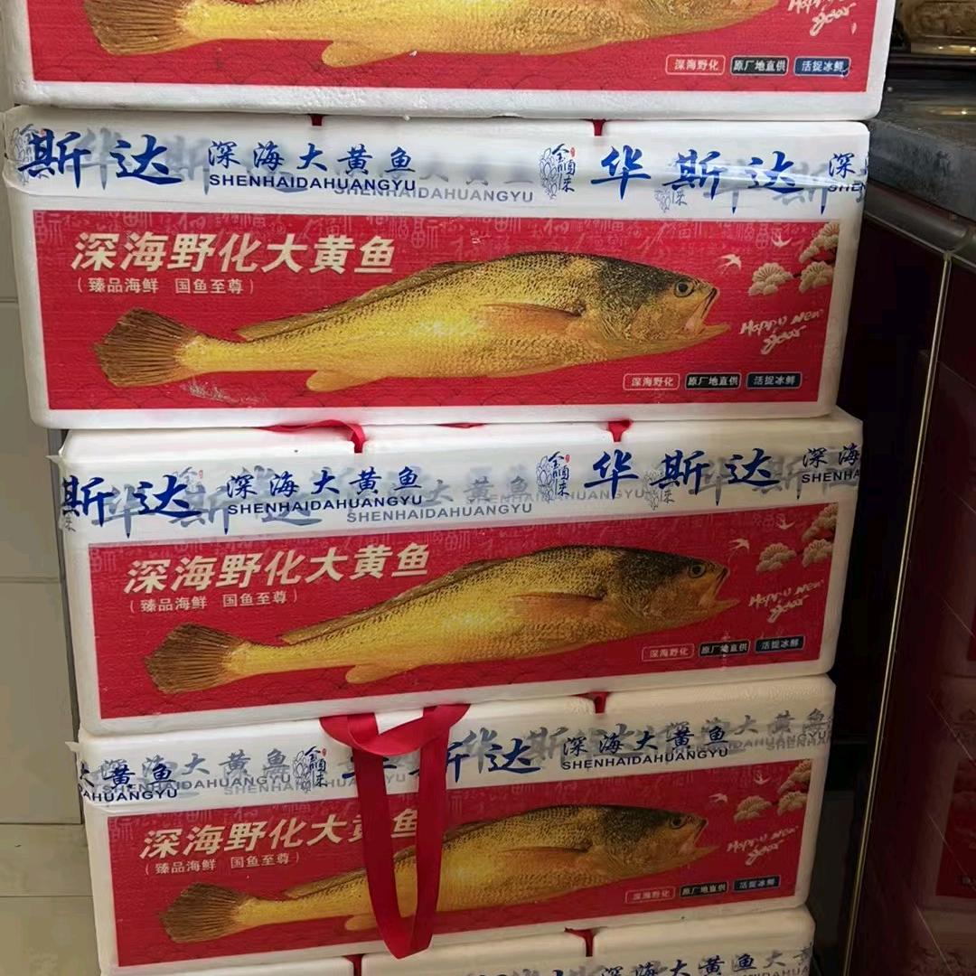 华斯达三深水黄鱼