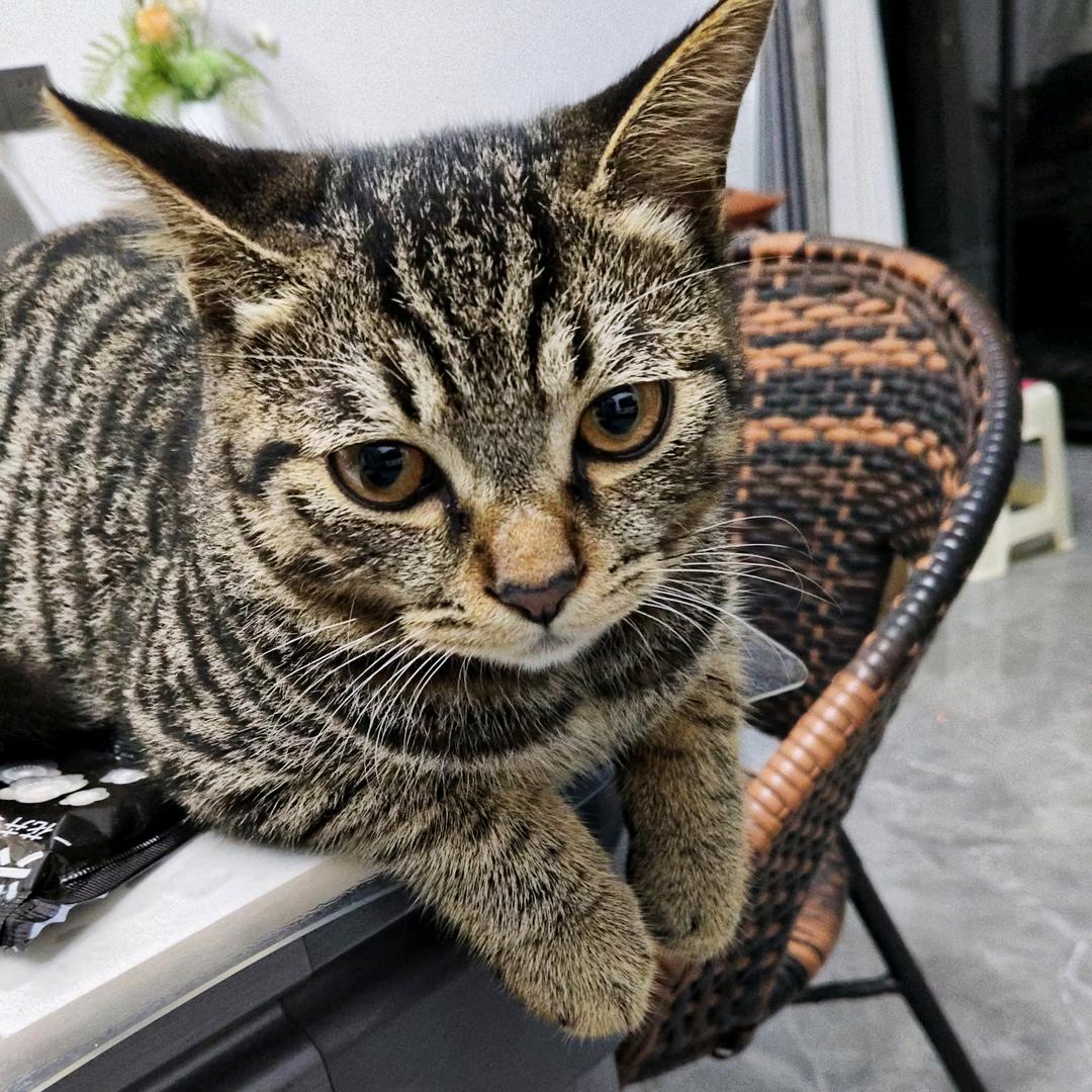 揭露阴暗面，传递正能量