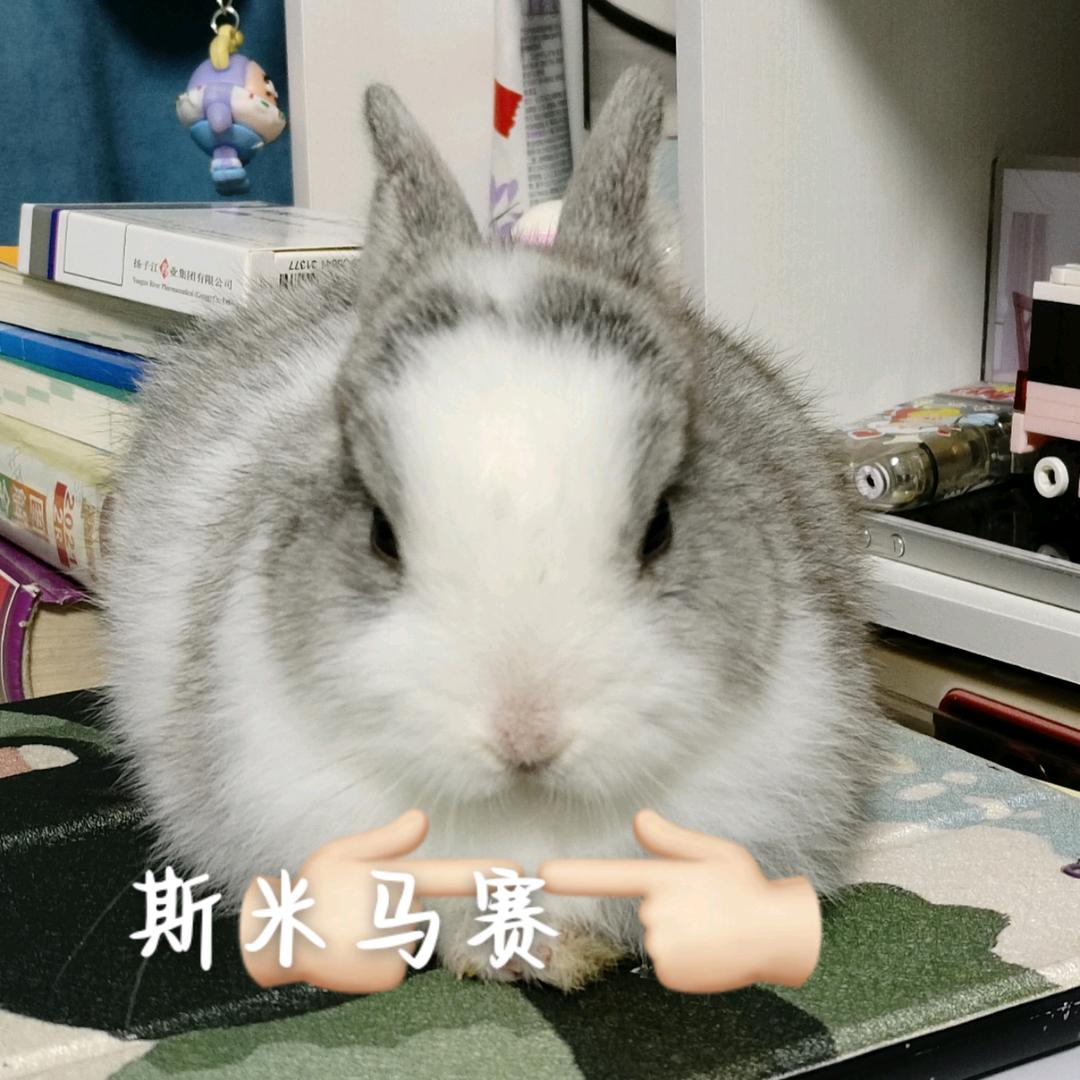 团叽
