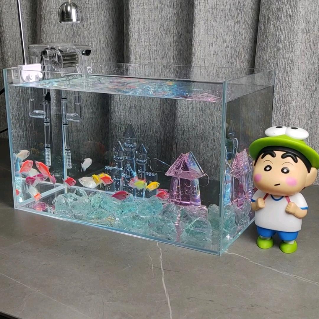 心鱼水族